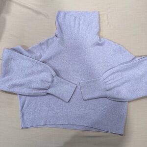 Aritzia Wilfred Cropped Turtleneck